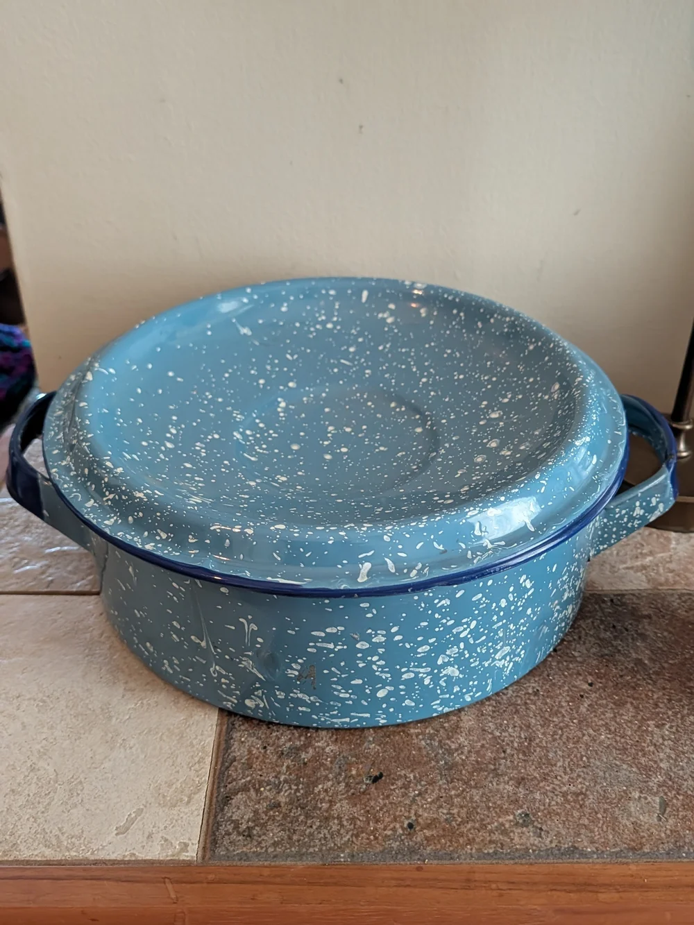 Blue Speckled Enamel Dutch Oven with Lid - Home Kitchen Decor Vintage